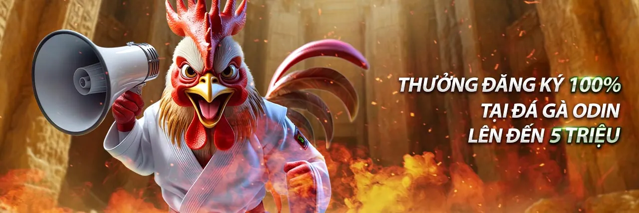 Khuyến mãi link q88 độc quyền cho thể thao và casino